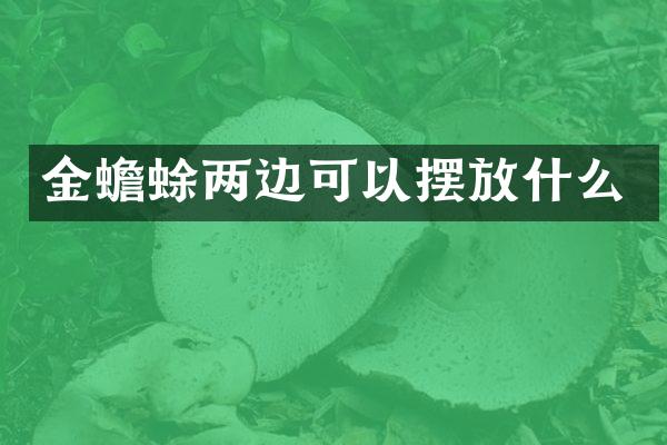 金蟾蜍两边可以摆放什么