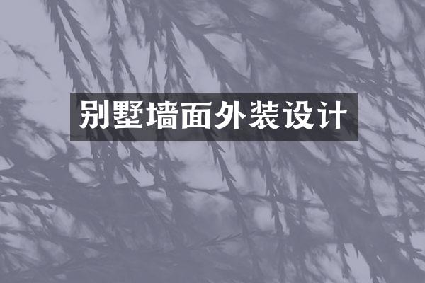 别墅墙面外装设计