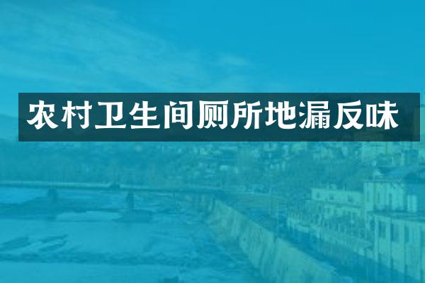 农村卫生间厕所地漏反味