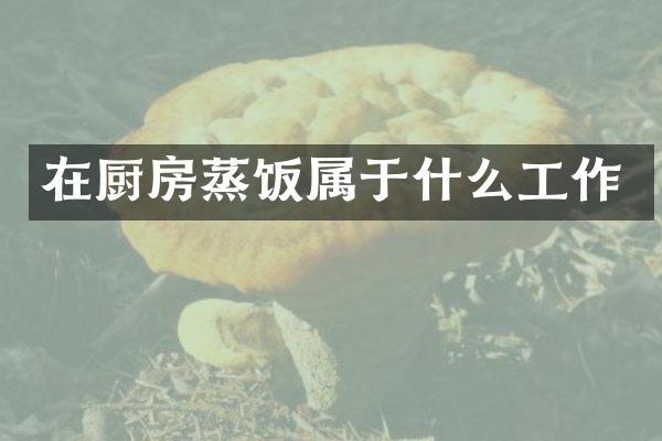 在厨房蒸饭属于什么工作