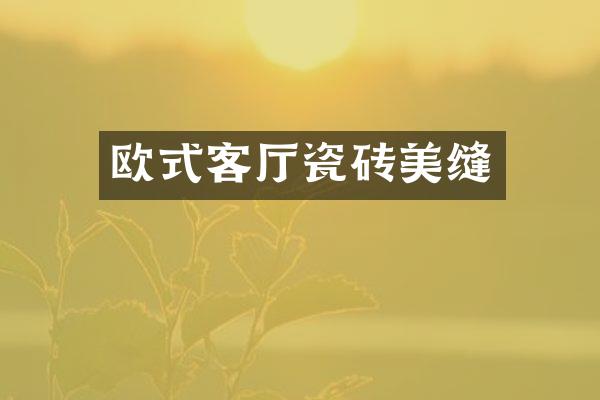 欧式客厅瓷砖美缝