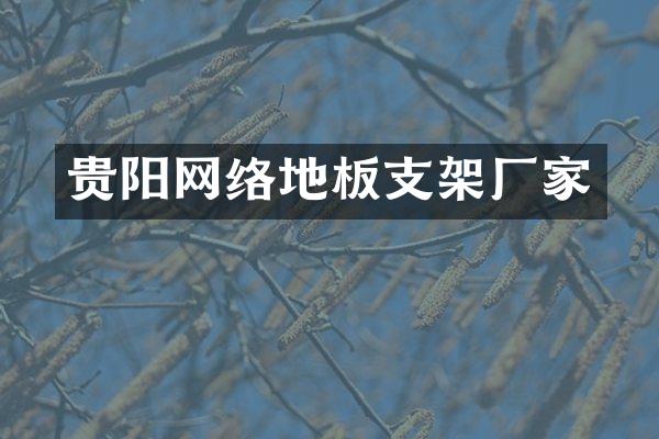 贵阳网络地板支架厂家