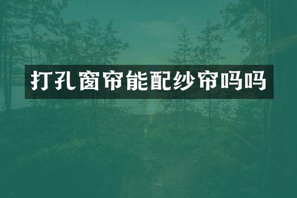 打孔窗帘能配纱帘吗吗
