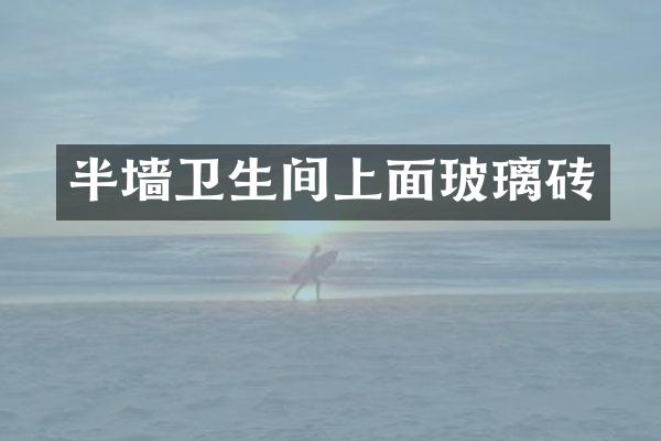 半墙卫生间上面玻璃砖