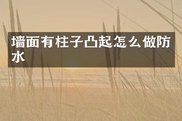 墙面有柱子凸起怎么做防水