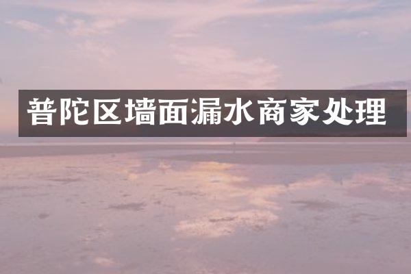 普陀区墙面漏水商家处理