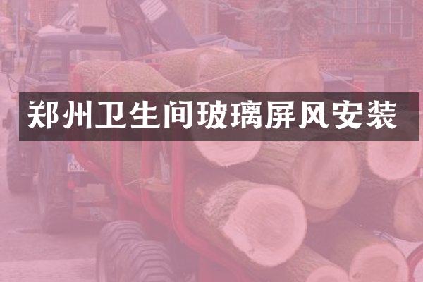 郑州卫生间玻璃屏风安装