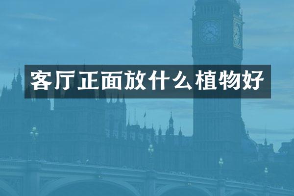 客厅正面放什么植物好