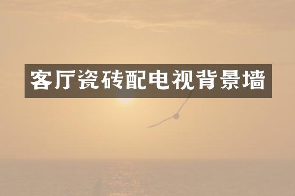 客厅瓷砖配电视背景墙