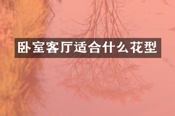 卧室客厅适合什么花型