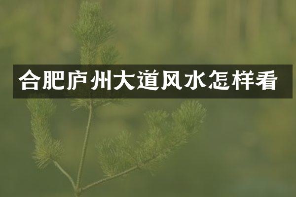 合肥庐州大道风水怎样看