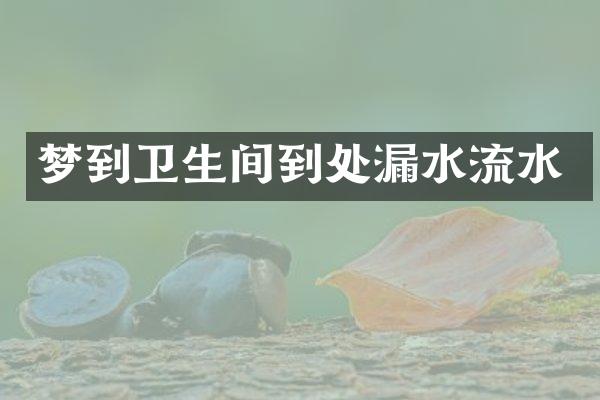梦到卫生间到处漏水流水