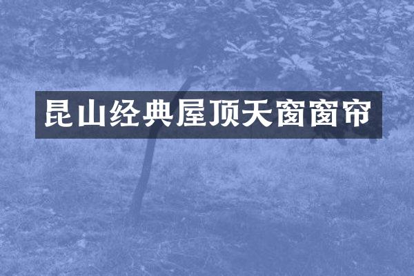 昆山经典屋顶天窗窗帘