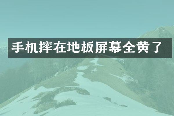 手机摔在地板屏幕全黄了