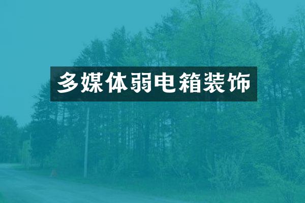多媒体弱电箱装饰