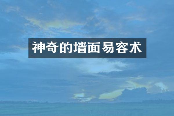 神奇的墙面易容术