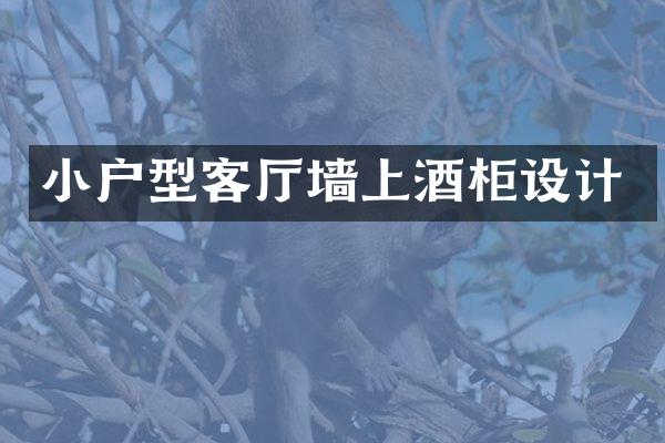 小户型客厅墙上酒柜设计