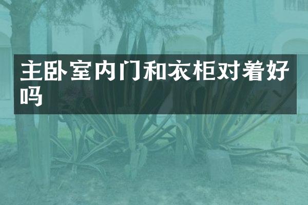 主卧室内门和衣柜对着好吗
