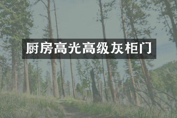 厨房高光高级灰柜门
