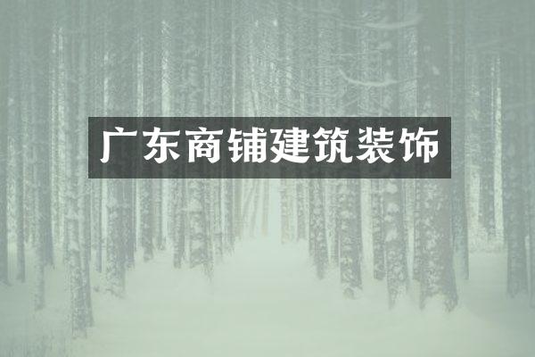 广东商铺建筑装饰