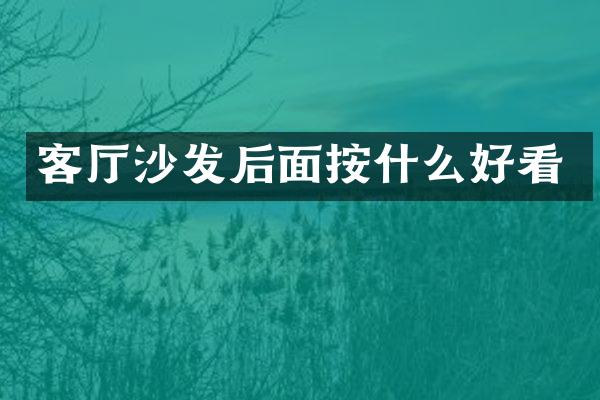 客厅沙发后面按什么好看