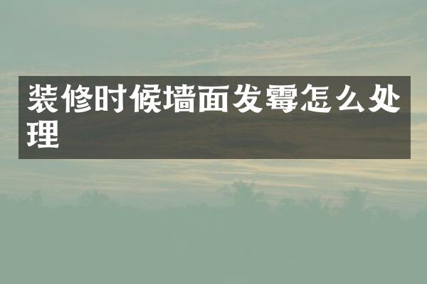 装修时候墙面发霉怎么处理