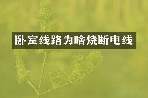 卧室线路为啥烧断电线