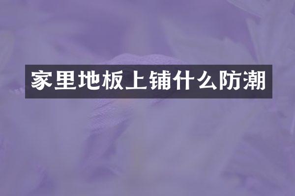 家里地板上铺什么防潮