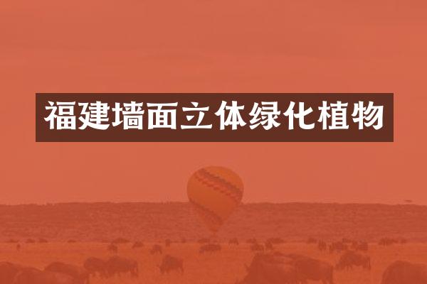 福建墙面立体绿化植物