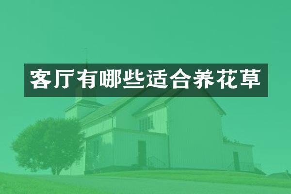 客厅有哪些适合养花草