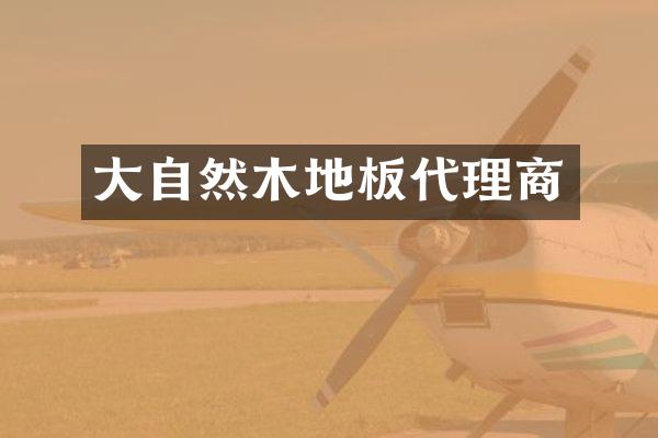 大自然木地板代理商