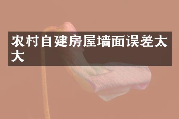 农村自建房屋墙面误差太大
