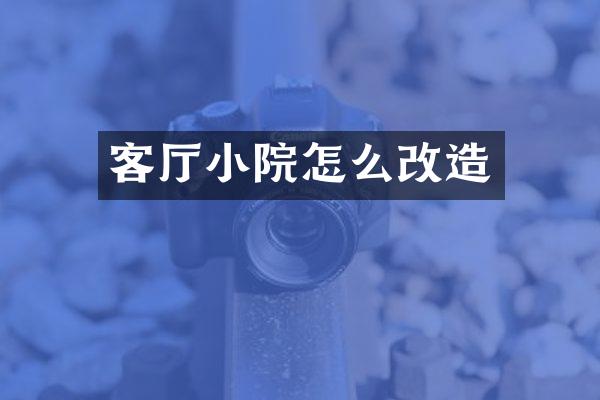 客厅小院怎么改造
