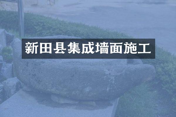 新田县集成墙面施工