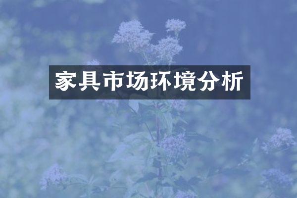 家具市场环境分析