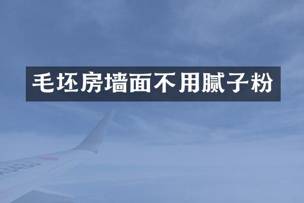 毛坯房墙面不用腻子粉