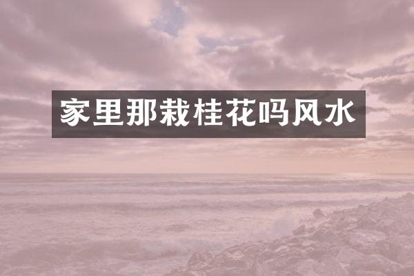 家里那栽桂花吗风水