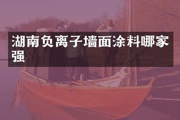 湖南负离子墙面涂料哪家强