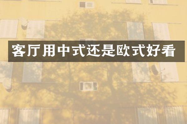 客厅用中式还是欧式好看