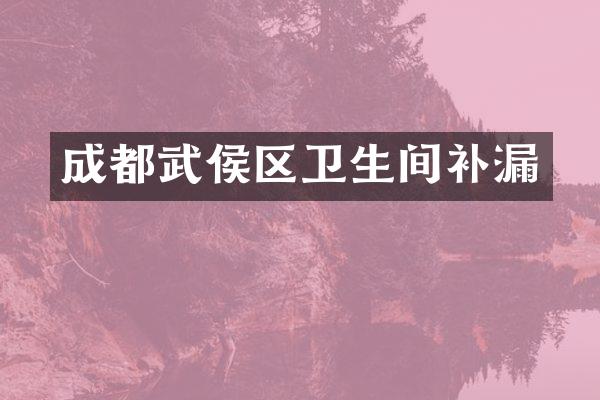成都武侯区卫生间补漏