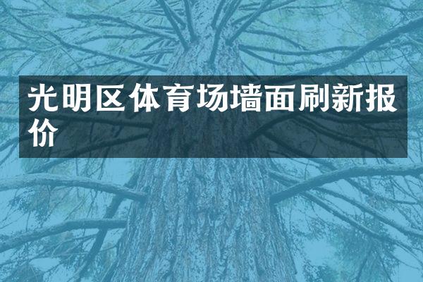 光明区体育场墙面刷新报价
