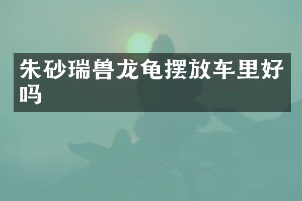 朱砂瑞兽龙龟摆放车里好吗