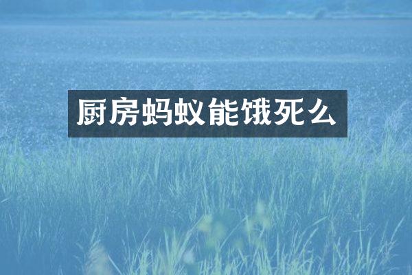 厨房蚂蚁能饿死么