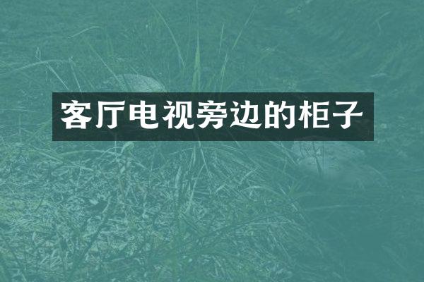 客厅电视旁边的柜子
