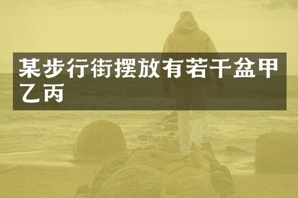 某步行街摆放有若干盆甲乙丙