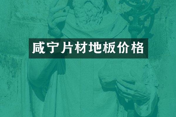 咸宁片材地板价格