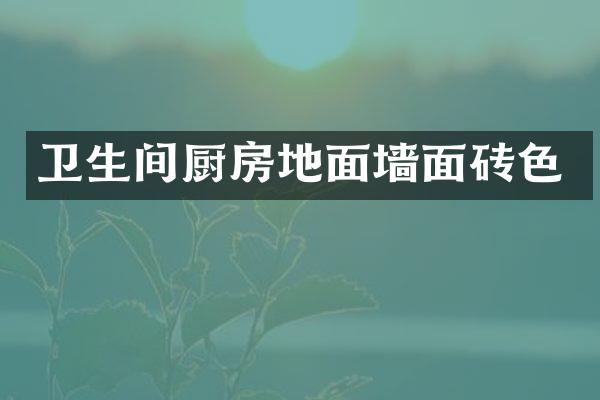 卫生间厨房地面墙面砖色