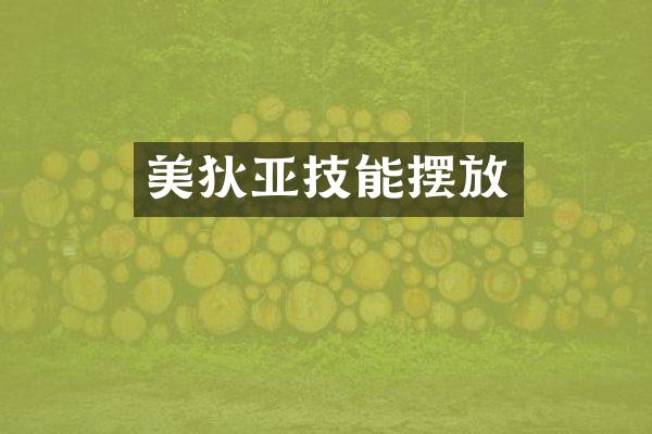 美狄亚技能摆放
