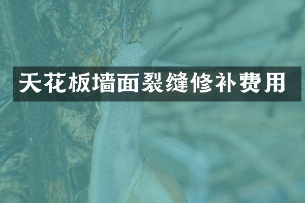 天花板墙面裂缝修补费用