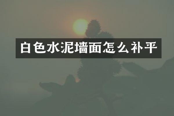 白色水泥墙面怎么补平